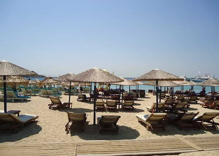 Romantika بلاتيس يالوس